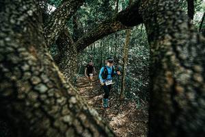 BIB: 
                            <button type="button" onclick="openModal(25392333)" class="btn btn-primary btn-sm float-right btn-popup" data-toggle="modal" data-target=".modal-high-quality">
                        <i class="fas fa-shopping-cart"></i> Add to Cart
                    </button>
                                            <button type="button" onclick="isThisMe(25392333, true)" class="btn btn-success btn-sm float-right btn-popup btn-isme hidden" data-toggle="tooltip" data-placement="bottom" title="นี่คือรูปของคุณใช่ไหม คลิกที่นี่เพื่อเอาเข้าอัลบั้ม">
                        <i class="fas fa-plus"></i> Add to album
                    </button>
                    <button type="button" onclick="isThisMe(25392333, false)" class="btn btn-warning btn-sm float-right btn-popup btn-isnotme hidden">
                        <i class="fas fa-ban"></i> Remove from album
                    </button>